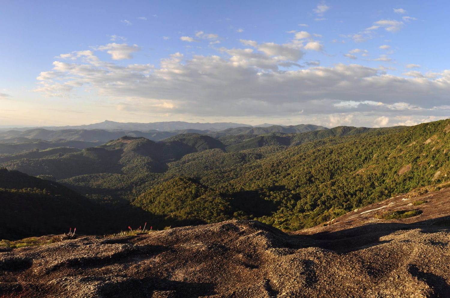 Monte Verde nas montanhas