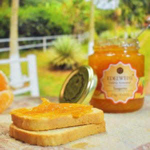 146561357_2901060753549885_3368336364821071585_o