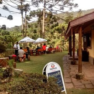 46447563_1956493717751338_3877558051774922752_n