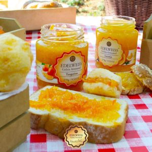 96563521_2667688166887146_1188752127539806208_o