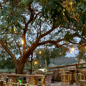 Captura de Tela 2025-10-23 às 14.29.23