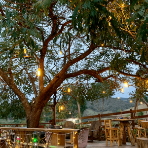 Captura de Tela 2025-10-23 às 14.29.23