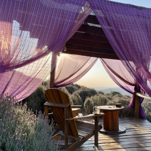 Captura de Tela 2025-10-23 às 14.29.47