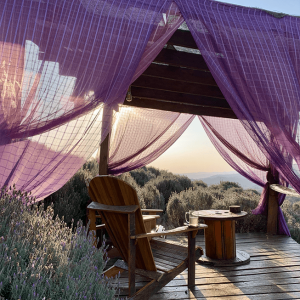 Captura de Tela 2025-10-23 às 14.29.47