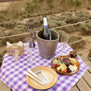 Captura de Tela 2025-10-23 às 14.30.08