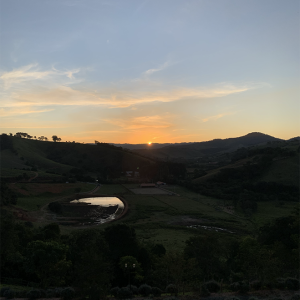 Captura de Tela 2025-10-23 às 14.30.12