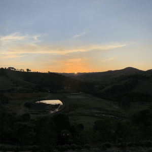 Captura de Tela 2025-10-23 às 14.30.12