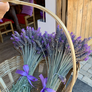 Captura de Tela 2025-10-23 às 14.30.18