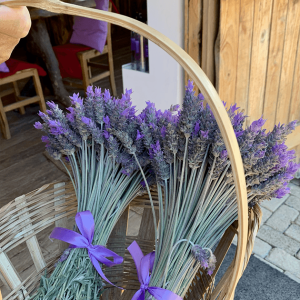 Captura de Tela 2025-10-23 às 14.30.18