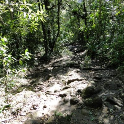 DSC08373-850x638