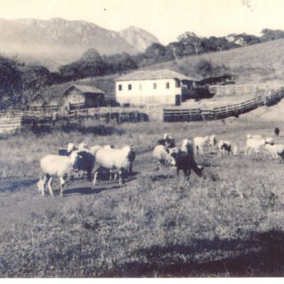 Monte-Verde-grande-pasto.-fazenda-850x512-1
