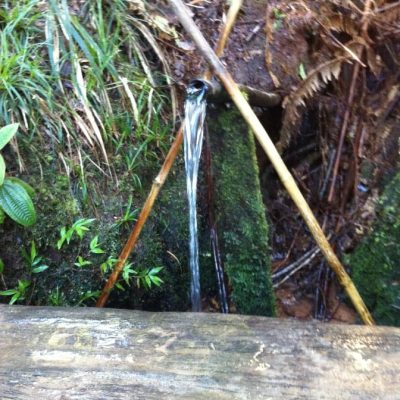Nascente-Trilha-do-Pinheiro-Velho-1