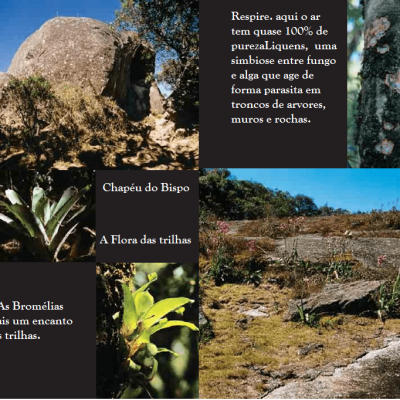 Trilhas-de-Monte-Verde-suas-particularidades-1