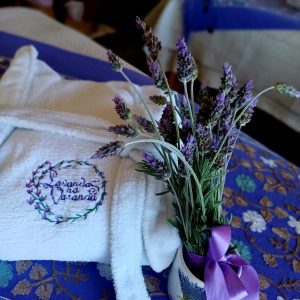 WhatsApp Image 2025-05-22 at 22.23.43 (1)