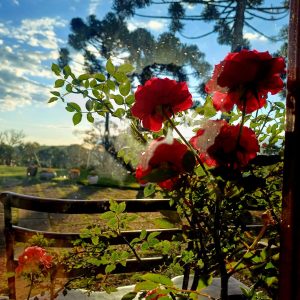 WhatsApp Image 2025-05-22 at 22.23.43 (2)