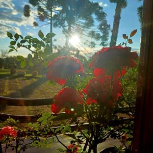 WhatsApp Image 2025-05-22 at 22.23.44