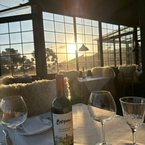 WhatsApp Image 2025-08-29 at 20.03.04 (1)