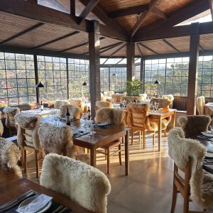 WhatsApp Image 2025-08-29 at 20.03.04