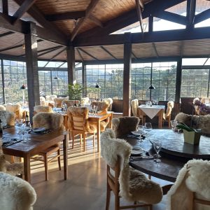 WhatsApp Image 2025-08-29 at 20.03.05 (1)