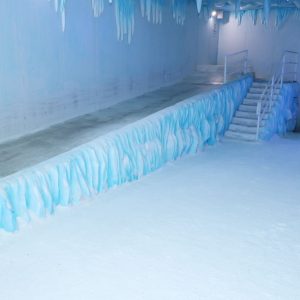 WhatsApp Image 2026-02-02 at 16.46.39 (3)