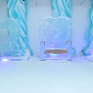 WhatsApp Image 2026-02-02 at 16.46.40