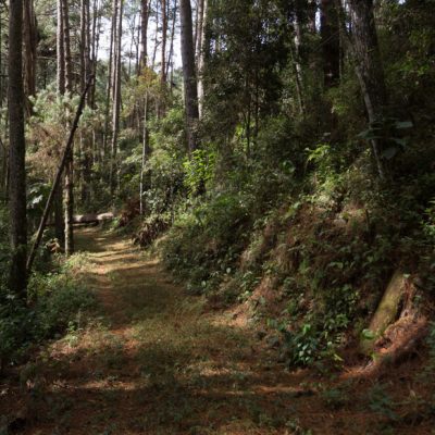 itapua-monte-verde-trilha