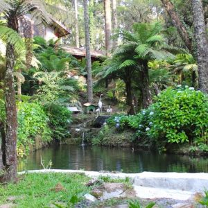 villaleta-monte-verde0001